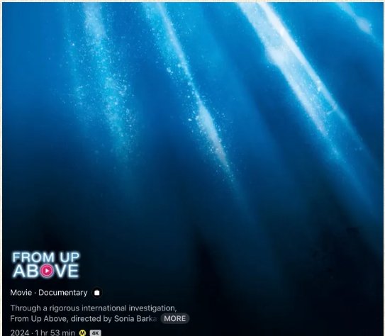 Critique du film sur le blog AwareofAware, Nouvelle-Zélande