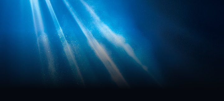 Affiche officielle du film Témoins